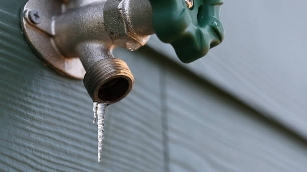 Best Shower Repair Services  in Hwatha, IA